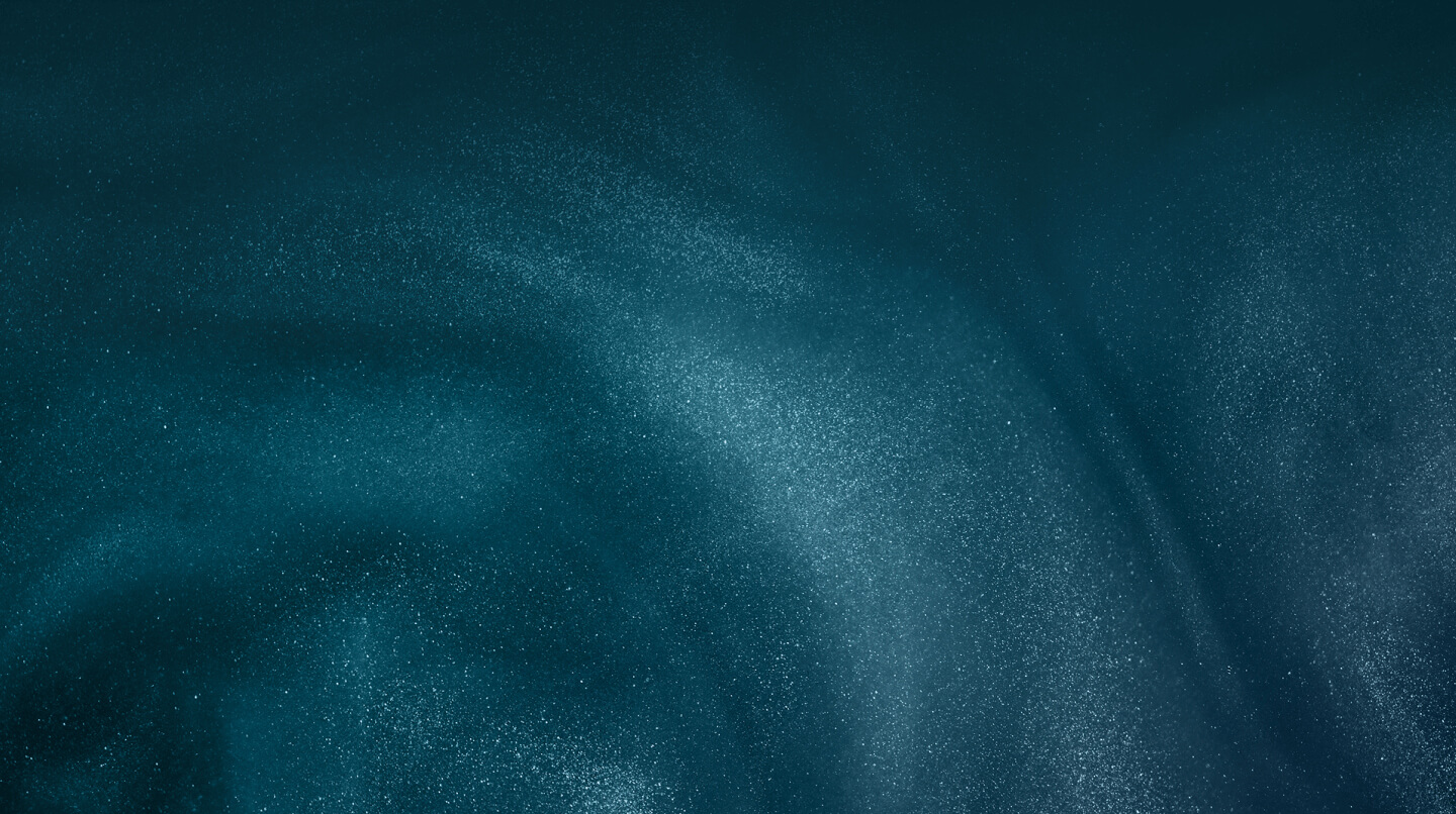 Vive el Paquete Completo