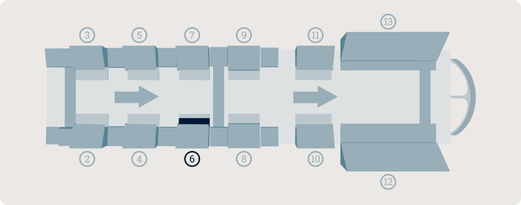 At the Heart of Sapucaí