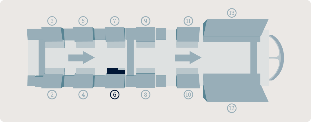 Au cœur de Sapucaí