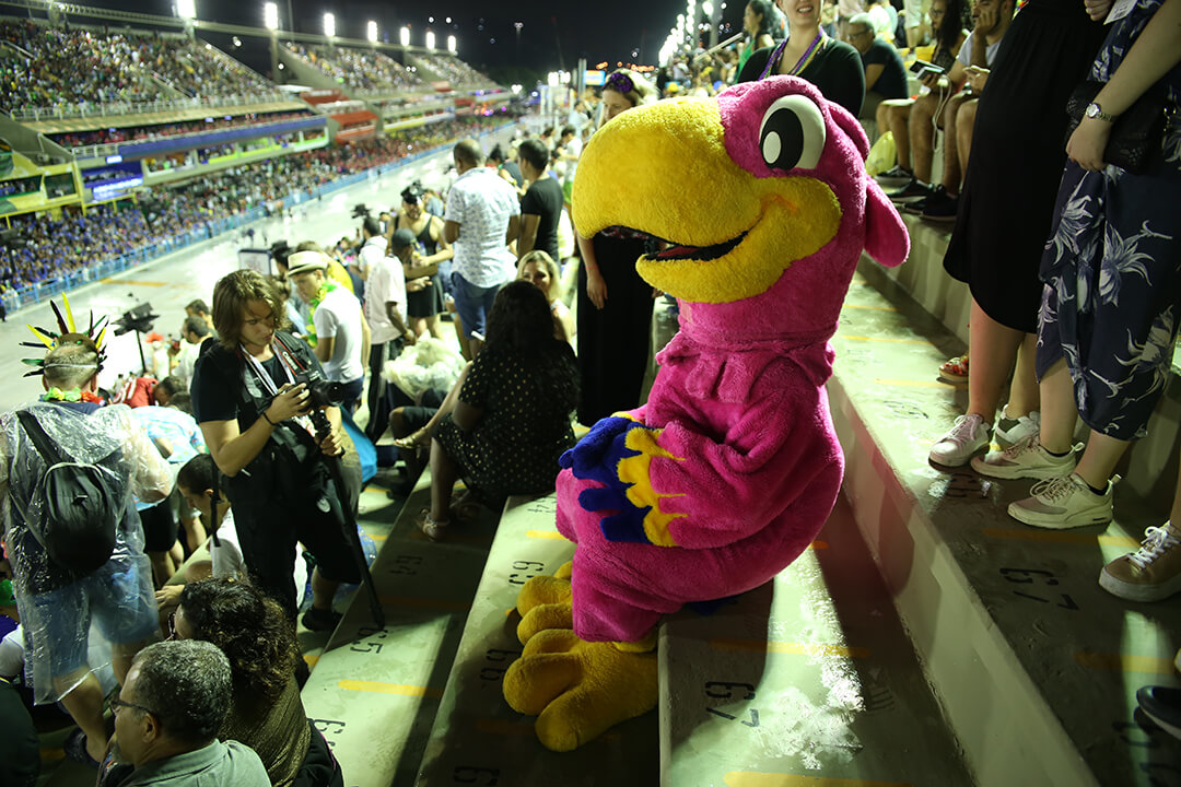 Koko Silva - Waiting comfortably in his designated spot in the sector 9 grandstands, the entrance to the next samba school