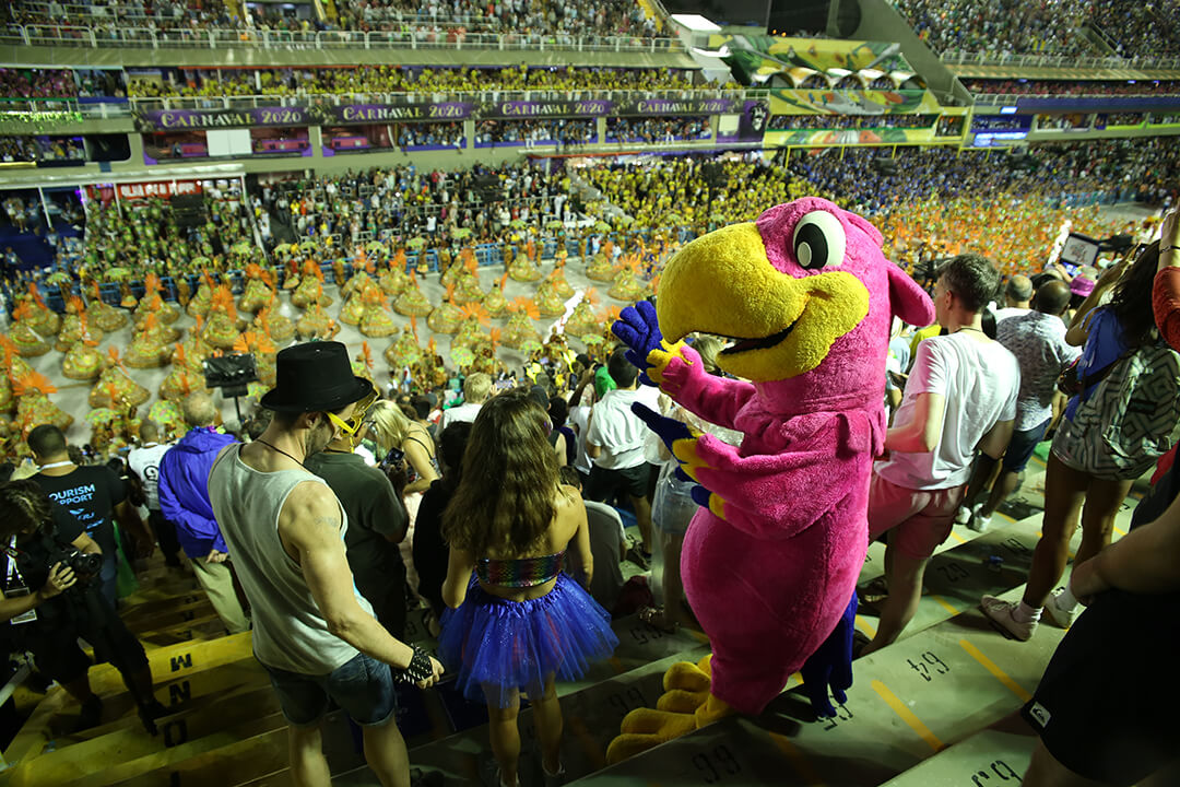 Koko Silva - Enjoying from the top of the stands in sector 9, the parade of Rio's samba schools