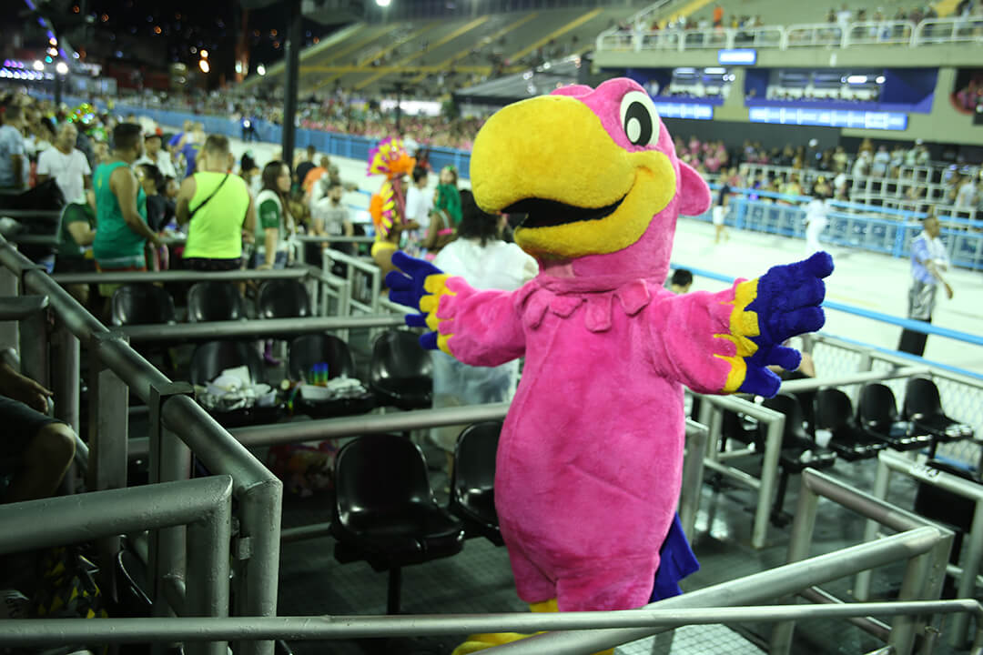 Koko Silva at Sambadrome getting ready to enjoy the Samba Parade in one of the Front Boxes Seats