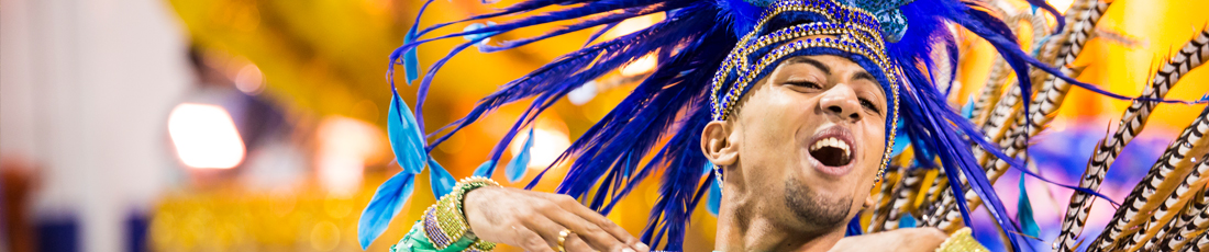 Guia do Carnaval do Rio