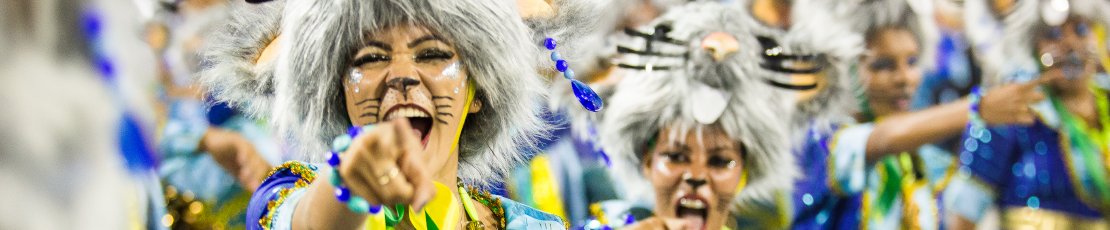 Rio Carnaval