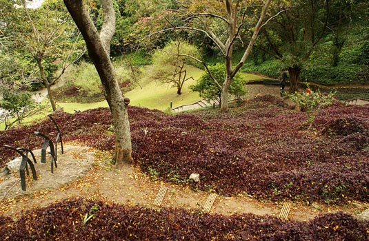 Parque da Catacumba in Rio Parque da Catacumba in Rio