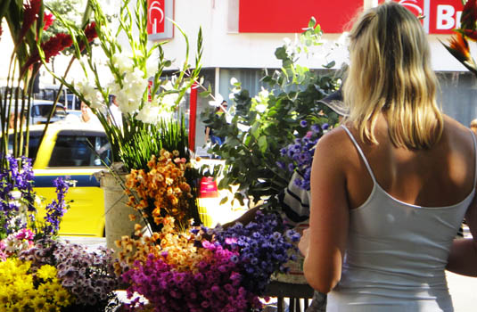 Street Fair - Flower seller Street Fair - Flower seller