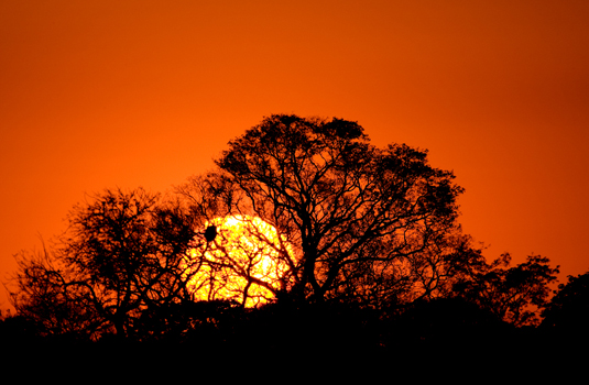 Pantanal sunset in Brazil Pantanal sunset in Brazil
