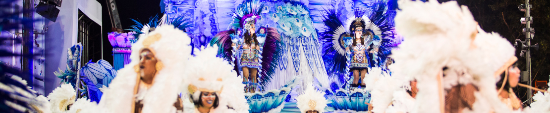 Guia do Carnaval do Rio