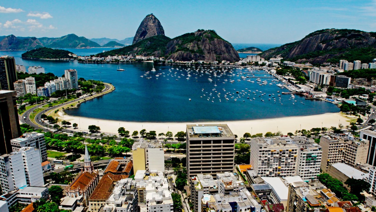 Side Avenue of Royal Palms at Botafogo, Brazil