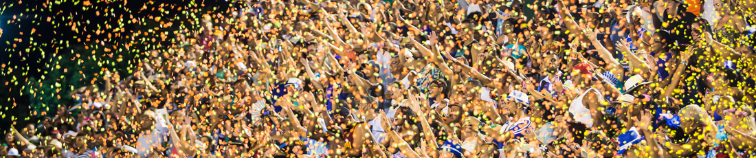 Guia do Carnaval do Rio